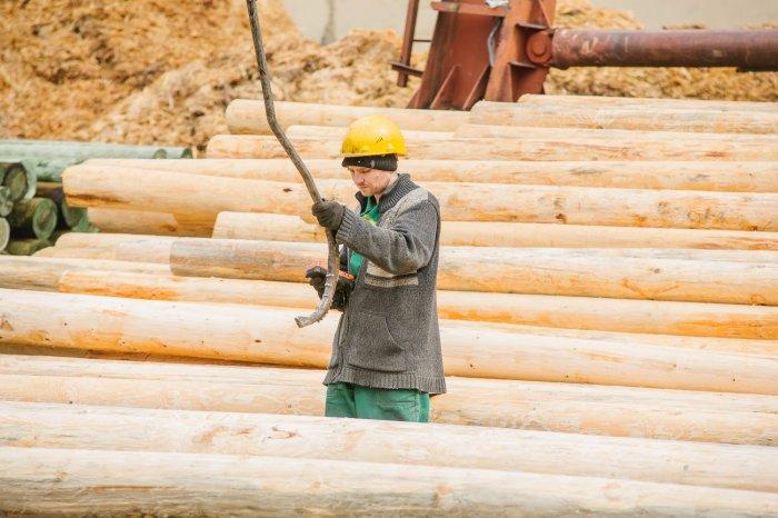 Выиграли конкурс