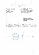 ООО «ЭнергоСтройИнжиниринг»